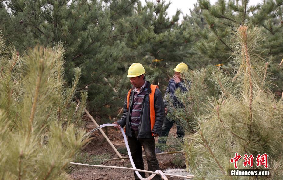 河北雄安新区周年巨变