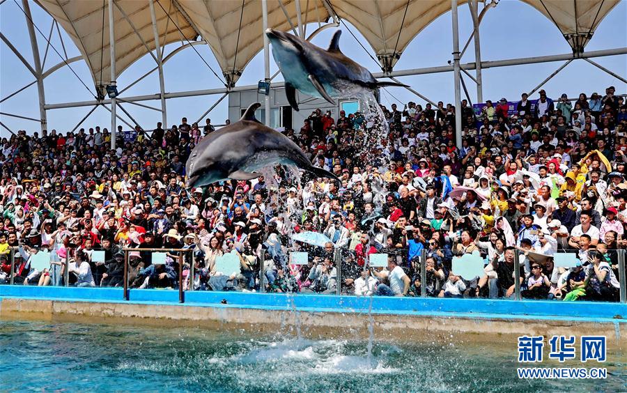 #（社会）（7）乐享“五一”假期