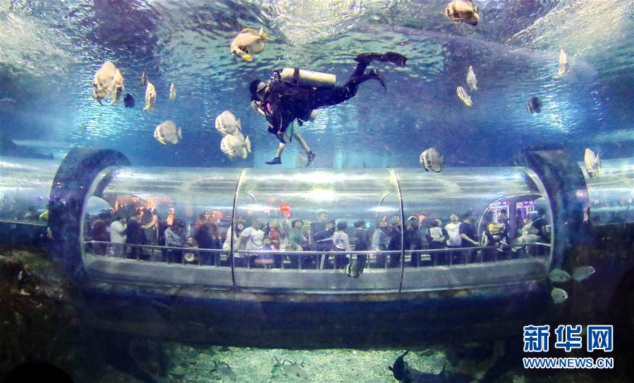 #（社会）（11）乐享“五一”假期