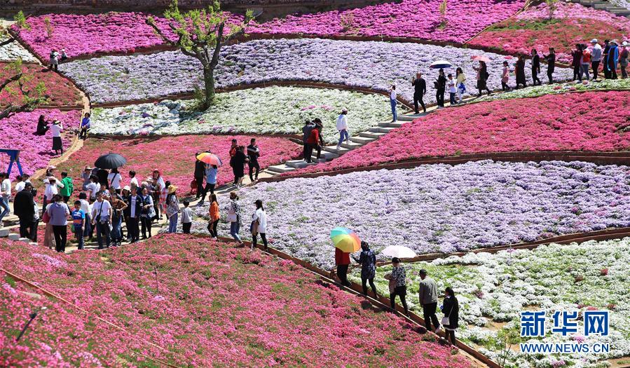 #（社会）（17）乐享“五一”假期