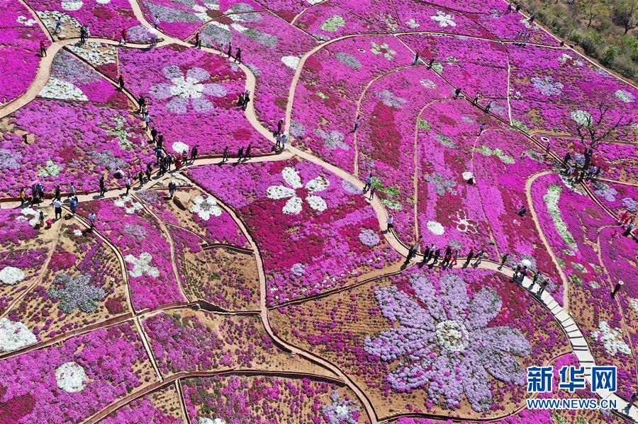 #（社会）（18）乐享“五一”假期