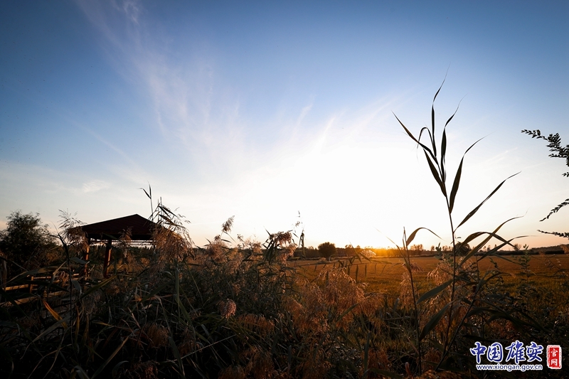 晴空万里，秋日如画。中国雄安官网陈凯昆 摄