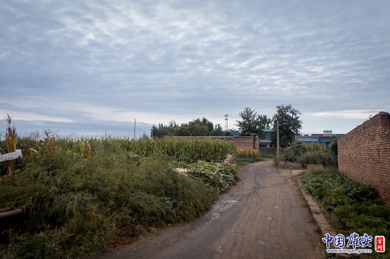 秋日雨后的村庄，安静、祥和。中国雄安官网陈凯昆 摄