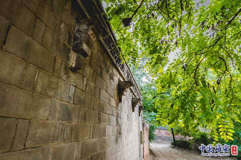 老宅的外围墙体虽然已经有些破损，但可以想象当初建成时的辉煌。墙外的几棵老树努力“伸”进老宅，与老宅融入一体，“和谐相处”多年。中国雄安官网记者刘东尧 摄