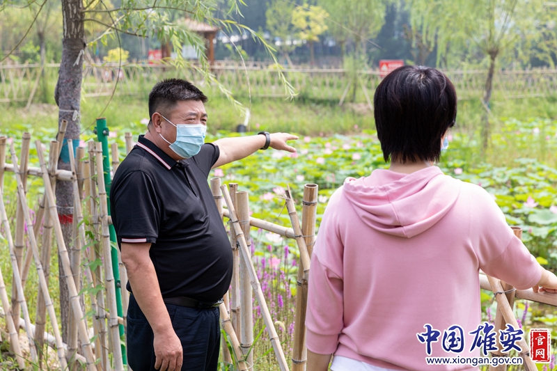 人工湖里的荷花，今年已经争相盛开，荷叶青青，荷花如面，乡村如画，但兰占友无心欣赏美景，早已进入工作状态，他忙着跟工作人员讨论林草维护保养。如何提升小康成色，织就一道道展示新农村魅力的风景线，成了兰占友思考的新课题。中国雄安官网记者毛鹤然 摄