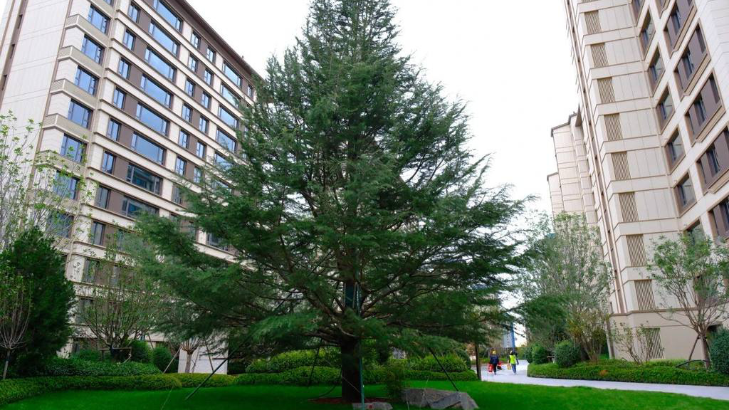 打造“好房子” 让疏解人员安家又安心