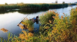 2017十大新词语发布!“雄安新区”居首