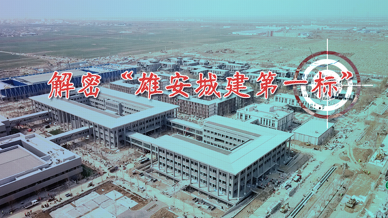 原创视频：解密“雄安城建第一标”
