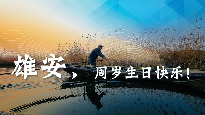 雄安，周岁生日快乐！