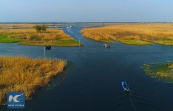 Xiongan New Area: one year on