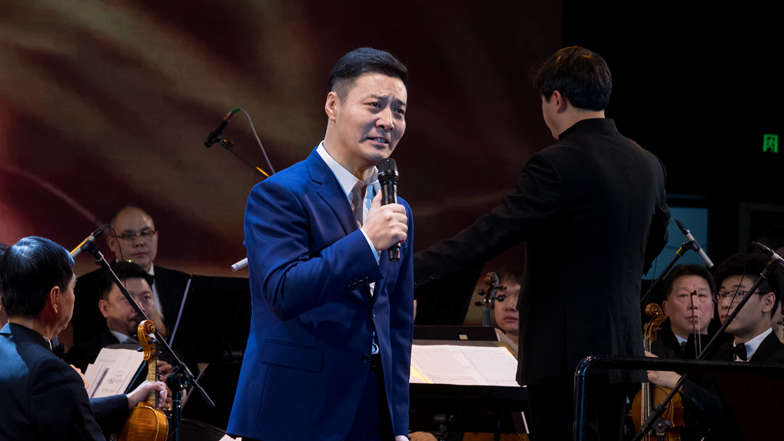 诗朗诵《我爱这土地》