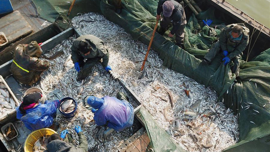 鱼跃人欢冬捕忙