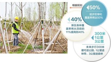 千年秀林，这样茁壮成长