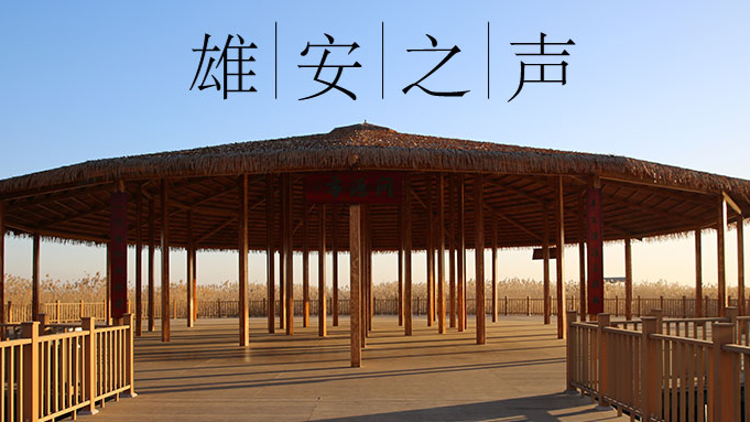 【雄安之声】20190920