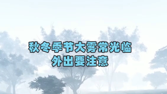 秋冬季节大雾常光临，外出要注意！