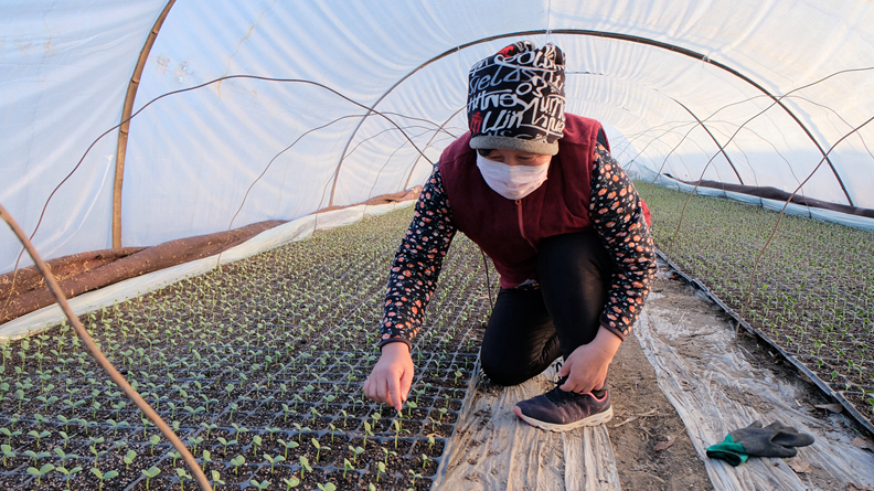 战“疫”不误农时 雄安三县春耕备播忙