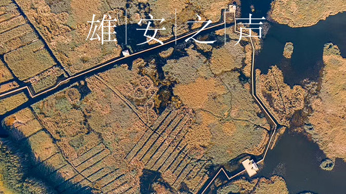 【雄安之声】20200316