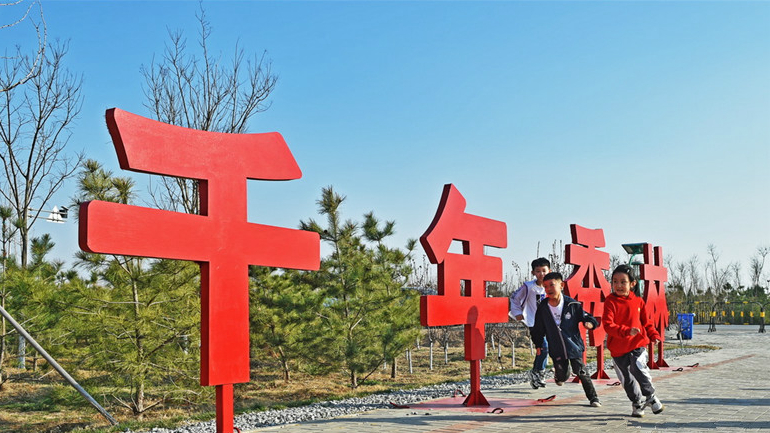 河北雄安新区：千年秀林春日好