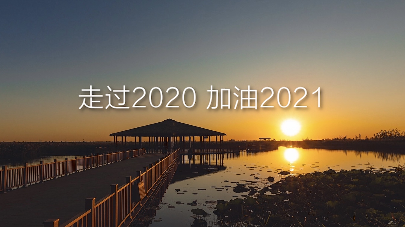 雄安这一年丨2020年，你心中最重要的一件事是什么？