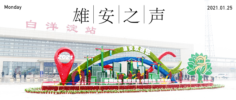 【雄安之声】20210125