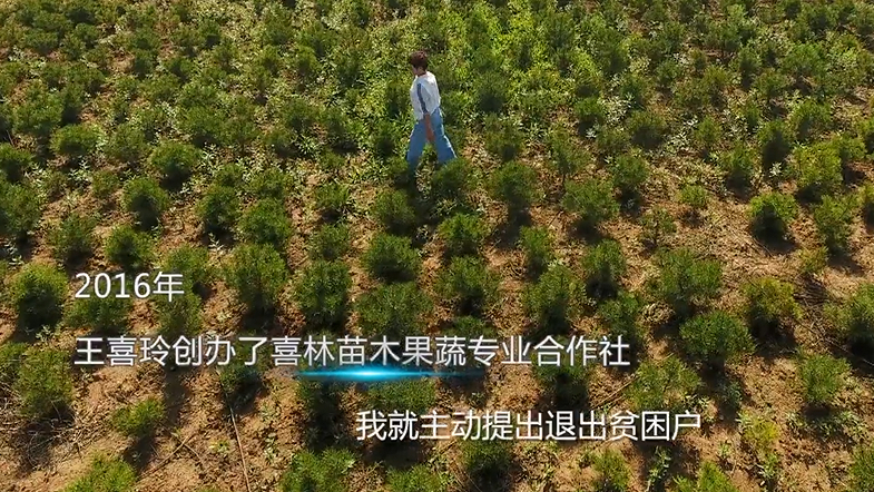 《加油！脱贫攻坚》第一集《从头再来》：王喜玲