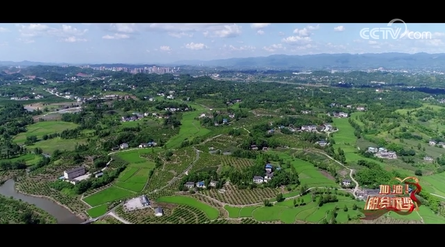 《加油！脱贫攻坚》第三集《恪尽职守》：张渠伟