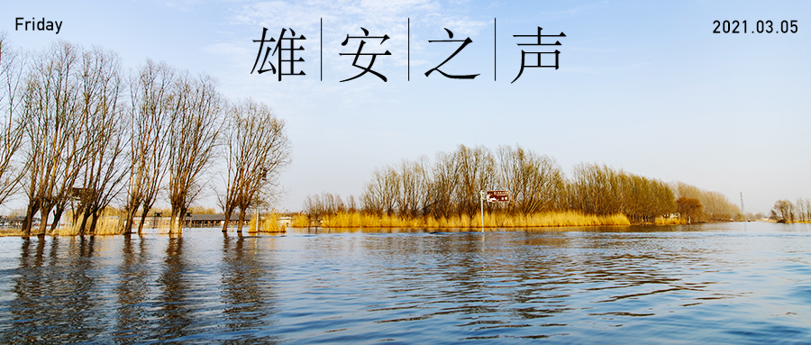 【雄安之声】20210305