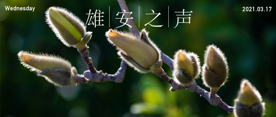 【雄安之声】20210317