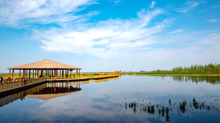 雄安新区白洋淀人的“梦里水乡”