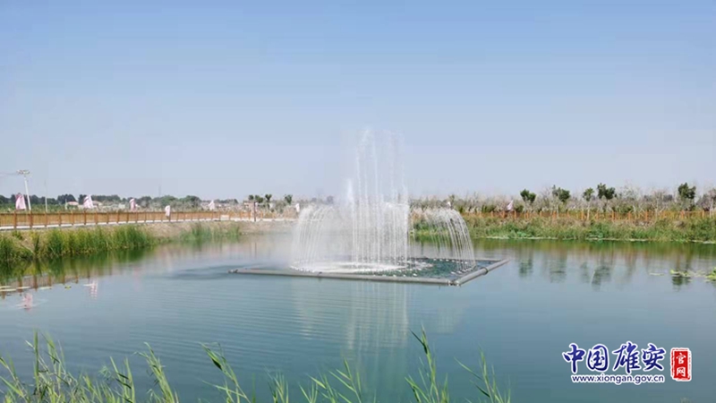 看建雄安丨尾水倒排+生态公园 雄安新区这一工程获群众点赞