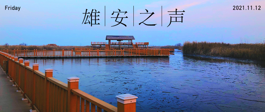 【雄安之声】20211112