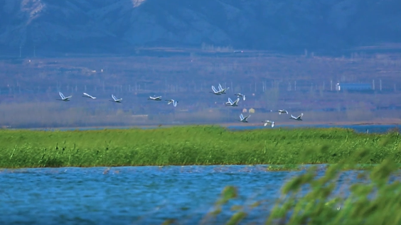 微视频｜回忆拉满！8年协同发展，我们这样走过！