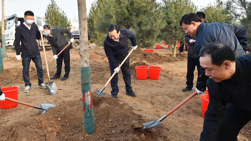 张国华参加新区义务植树活动