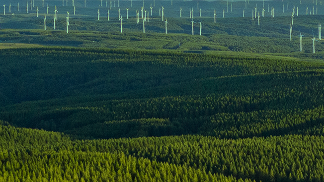 海报|植树添新绿,不负好春光!让我们一起“绿”动起来
