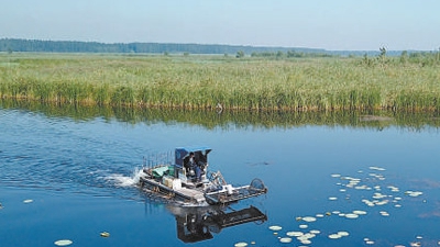 白洋淀生态修复记