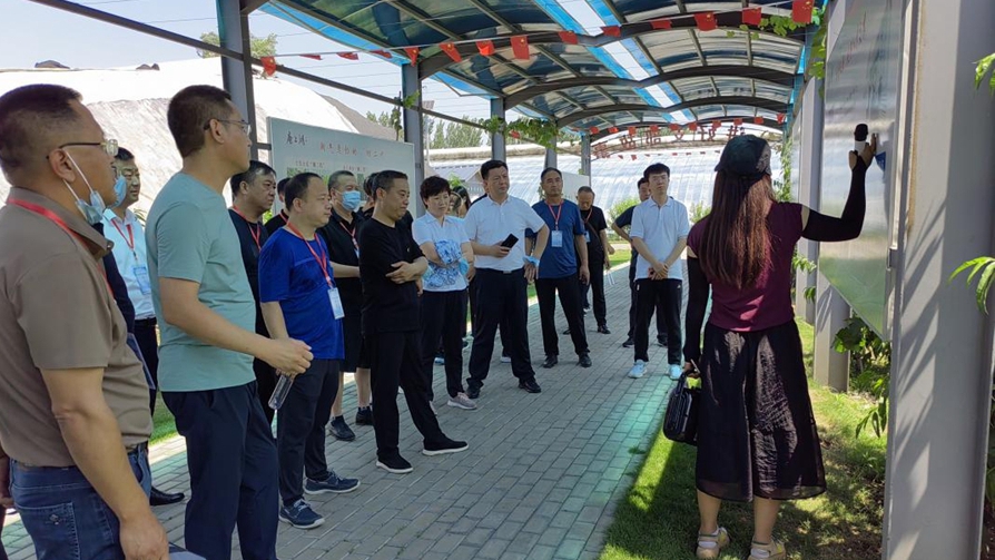 雄安新区开展抓党建促乡村振兴专题培训