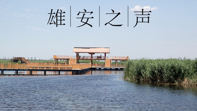 【雄安之声】20220629