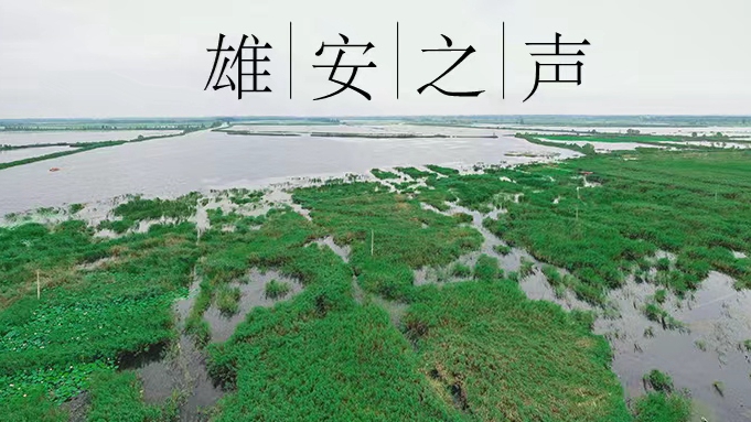 【雄安之声】20220712