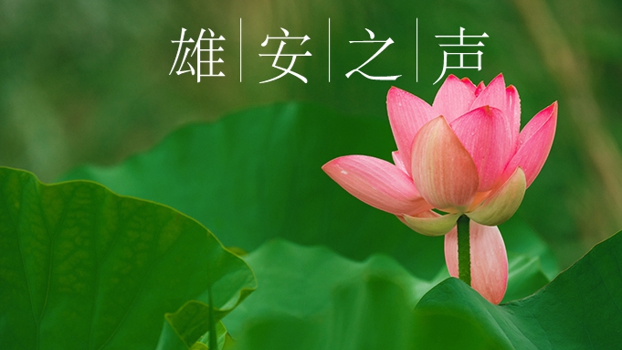 【雄安之声】20220725