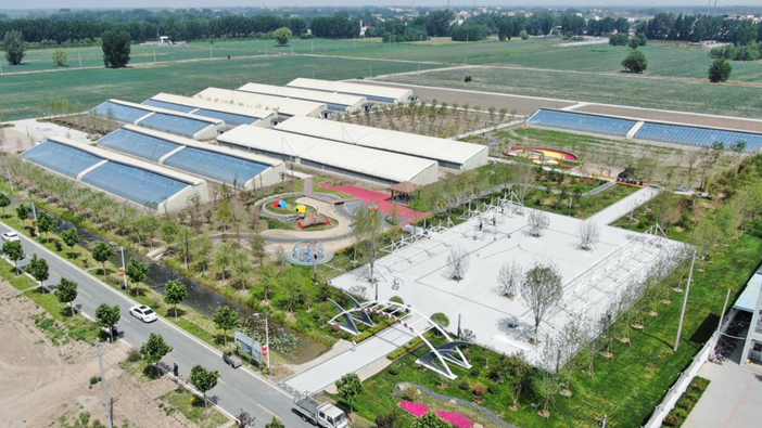 好消息!雄安新区安新县“阳雀湖辣椒”项目签约开工