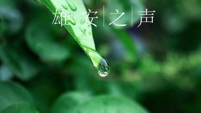 【雄安之声】20220728