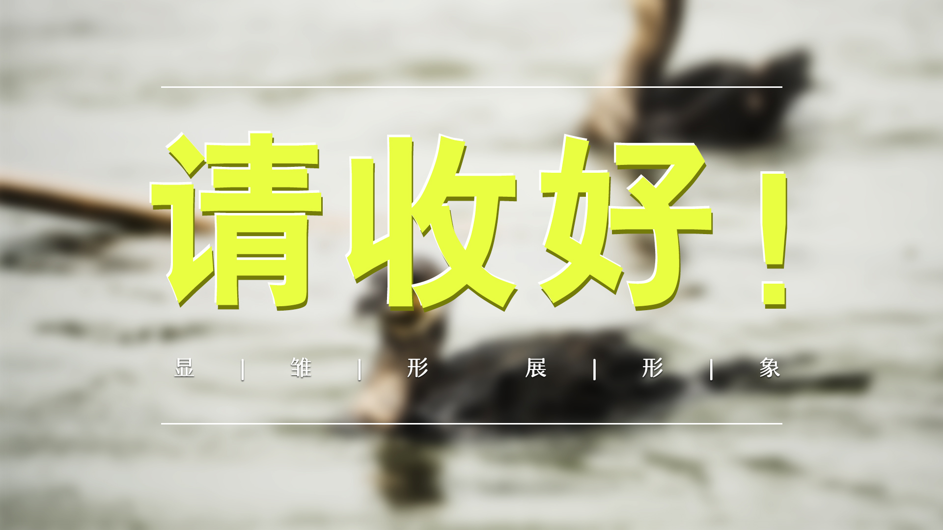 这5张名片，很雄安！