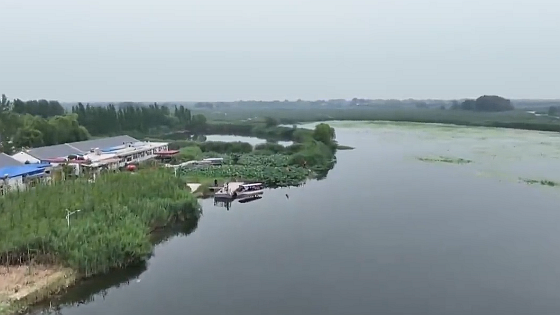 Vlog丨记者探访：白洋淀水质监测的那些“黑科技”