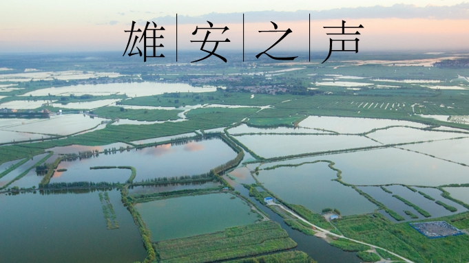 【雄安之声】20220815