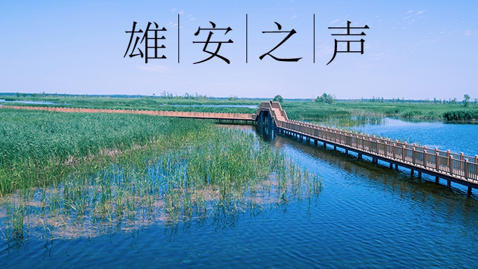 【雄安之声】20220825