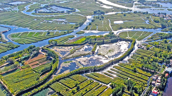 图说雄安|白洋淀畔秋韵浓