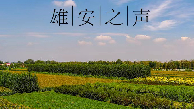 【雄安之声】20220929