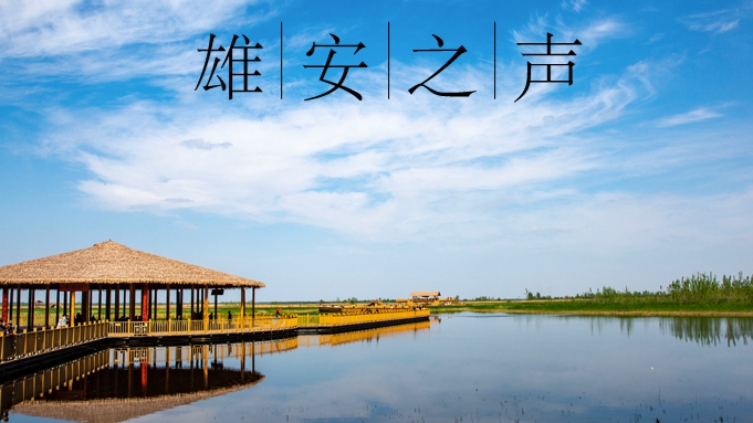 【雄安之声】20221013