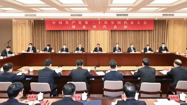 党的二十大河北省代表团召开全体会议 倪岳峰主持