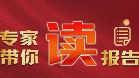 微视频丨归根到底是两个“行”——专家带你读报告